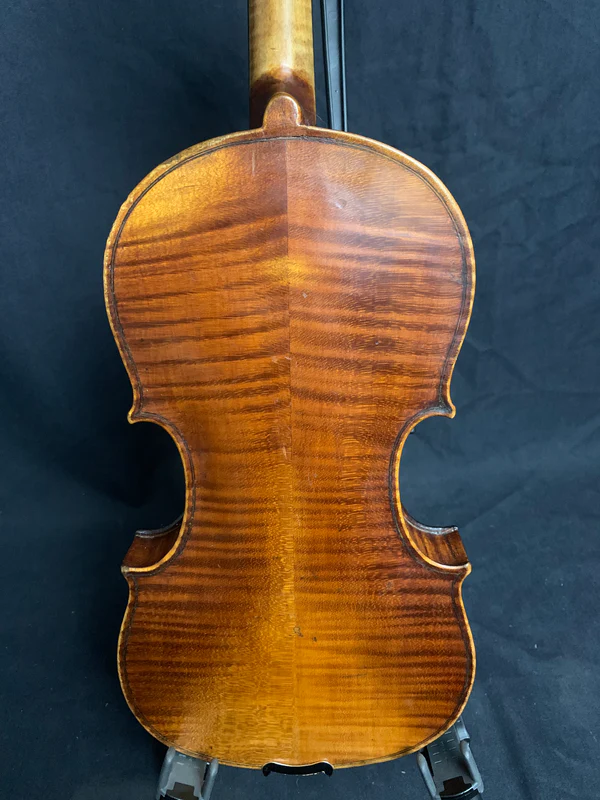 Back body